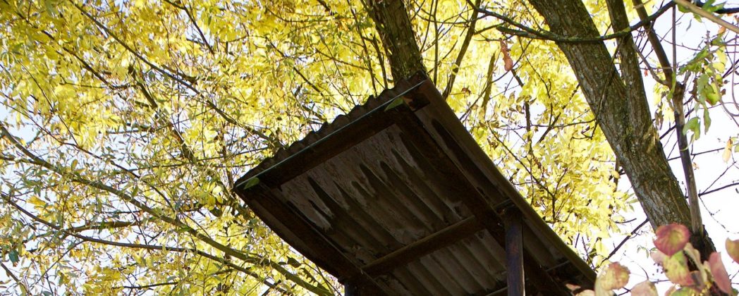 Jäger tot auf brennendem Hochsitz gefunden