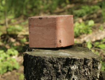 Salzlecke fürs Revier: Worauf muss man achten?