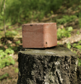 Salzlecke fürs Revier: Worauf muss man achten?