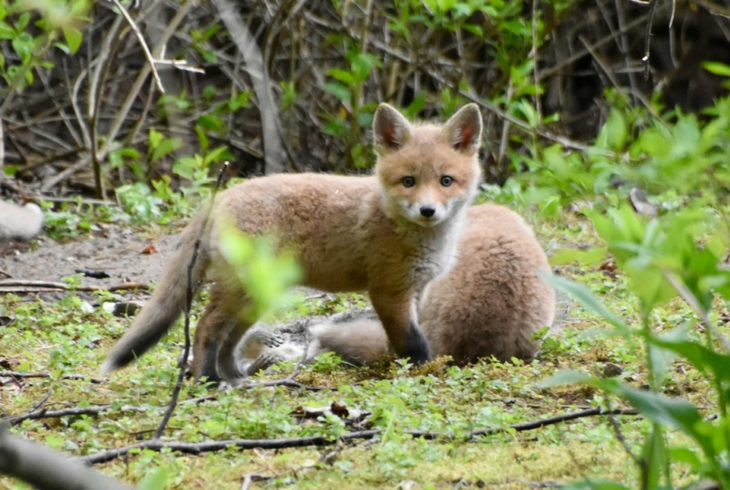 cindie-hansen-oSaowBQIDtw-unsplash