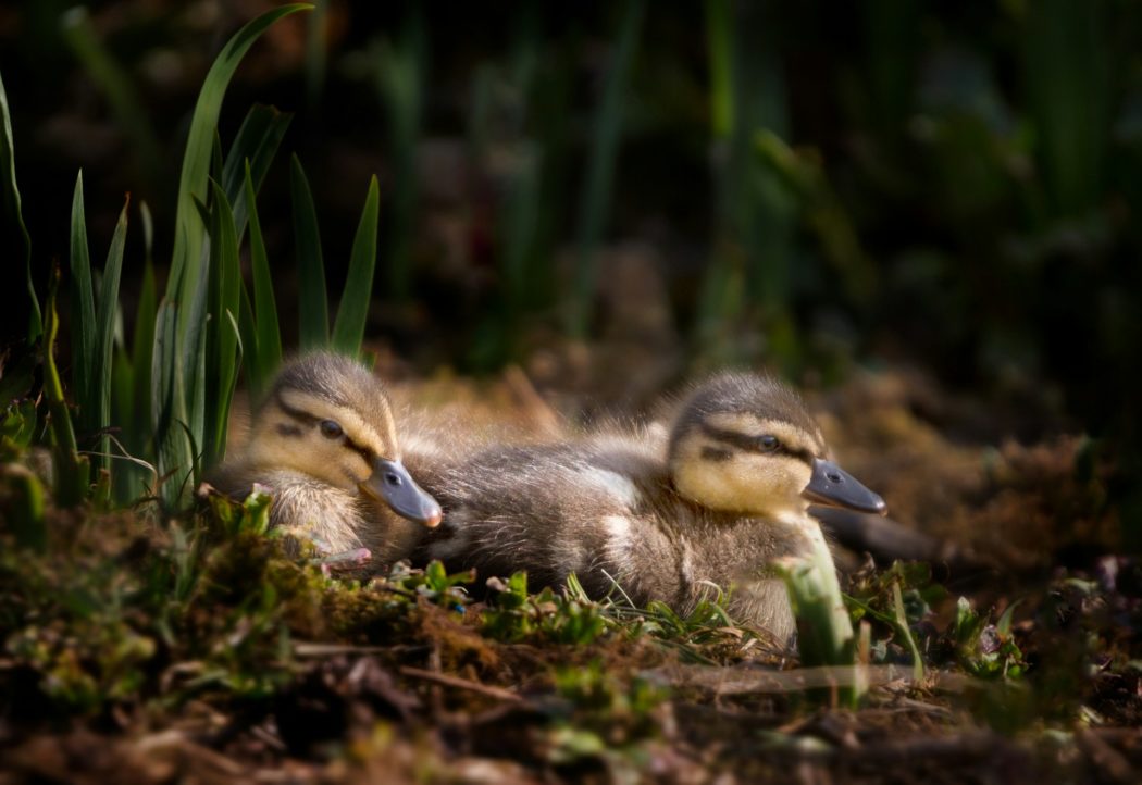 victoria-welton-mo-z-4WoFgs-unsplash