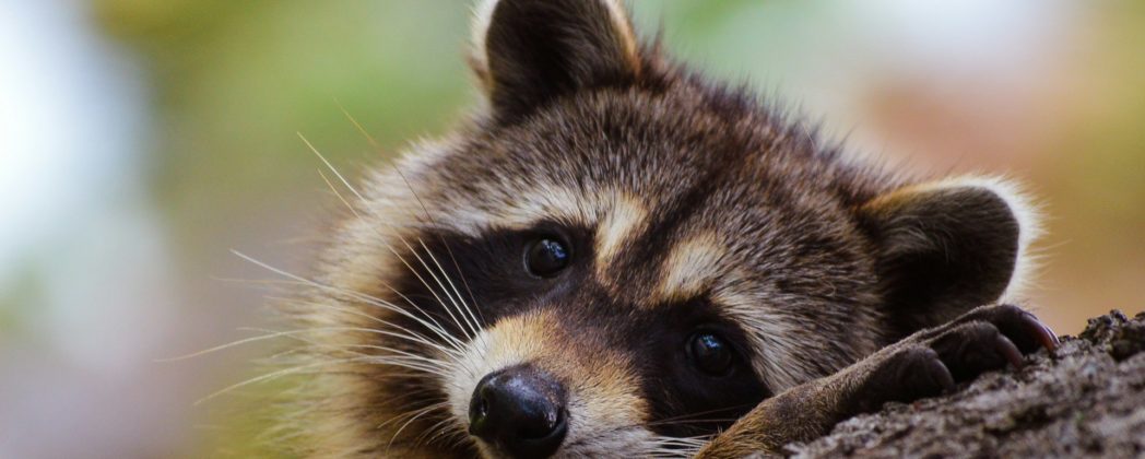 DJV geht erfolgreich gegen Falschbehauptung vor