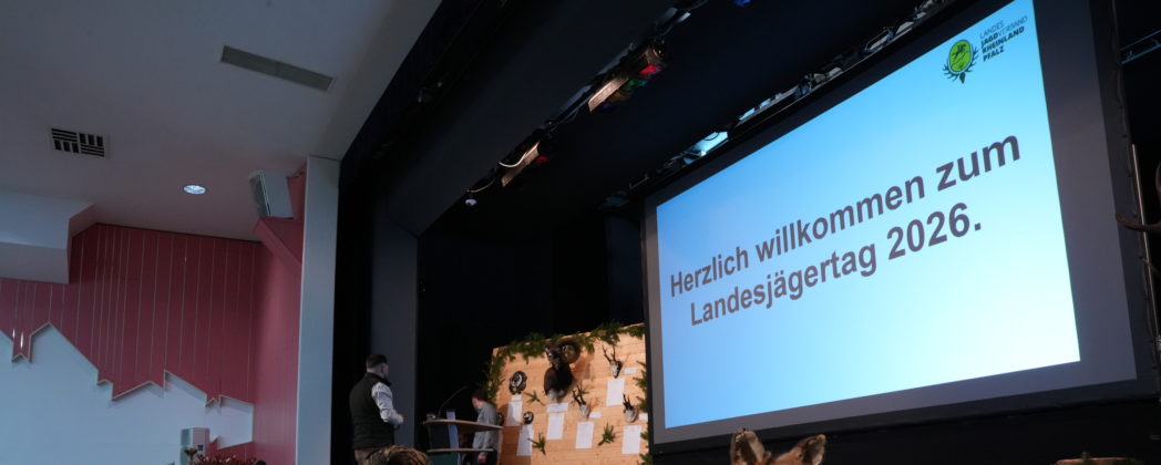 Nach turbulenter Wahl: Dr. Greif-Werner wird Präsidentin des LJV Rheinland-Pfalz