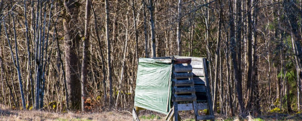 Hochsitz stürzt ein: Zwei Jäger bei schwerem Unfall verletzt