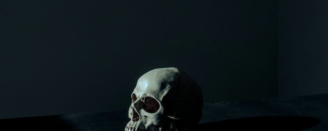 Jagdhund findet Menschenschädel in Wald in Sachsen