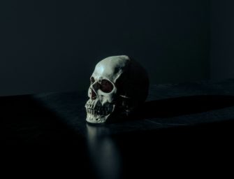 Jagdhund findet Menschenschädel in Wald in Sachsen