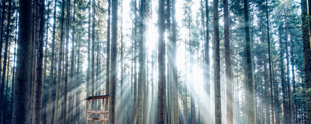 BJV: Hubert Stärker als neuer Präsident gewählt