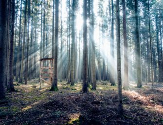 BJV: Hubert Stärker als neuer Präsident gewählt