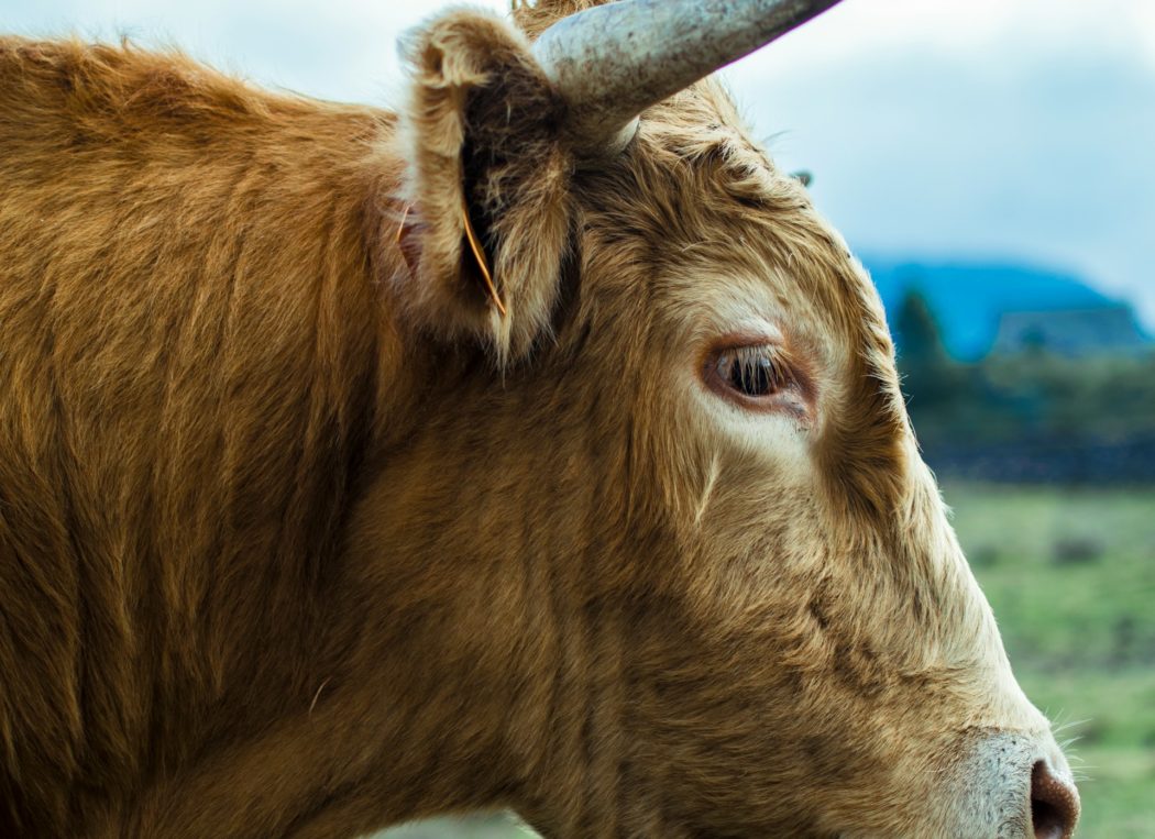 alberto-rodriguez-santana-7Urvw4QZLuI-unsplash