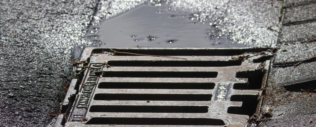 Biber bauen Damm in Gully: Überschwemmung knapp verhindert