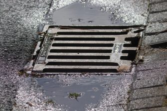 Biber bauen Damm in Gully: Überschwemmung knapp verhindert