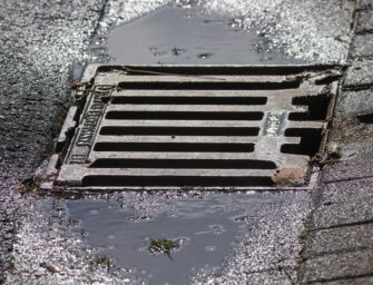 Biber bauen Damm in Gully: Überschwemmung knapp verhindert