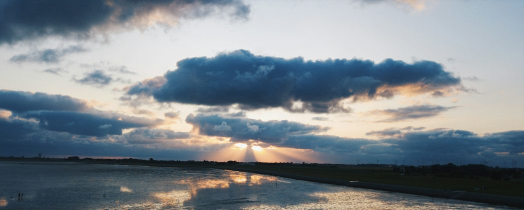 Reh-Notrettung vor Büsum: Bock aus der Nordsee gerettet