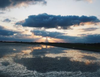 Reh-Notrettung vor Büsum: Bock aus der Nordsee gerettet