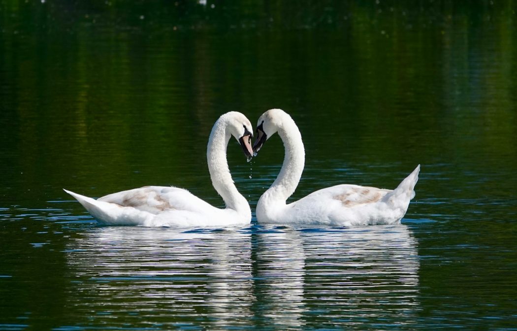 trevor-john-williams-sXwpO-MQV9w-unsplash