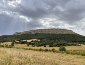 Rehbockjagd in Spanien: Blatten auf Rehbock nördlich von Madrid