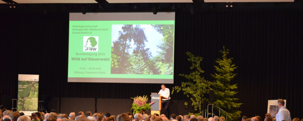 Wald im Klimawandel: ANW fordert naturgemäßen Waldbau und Reduzierung der Wildbestände