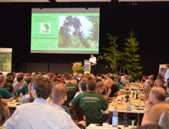 Wald im Klimawandel: ANW fordert naturgemäßen Waldbau und Reduzierung der Wildbestände