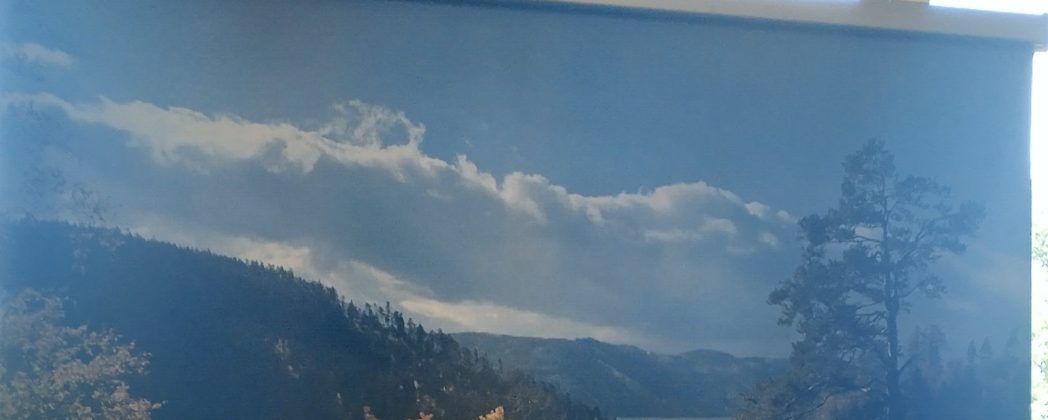 Wahl, Wolf und Windkraft: 35. Landesjägertag Thüringen