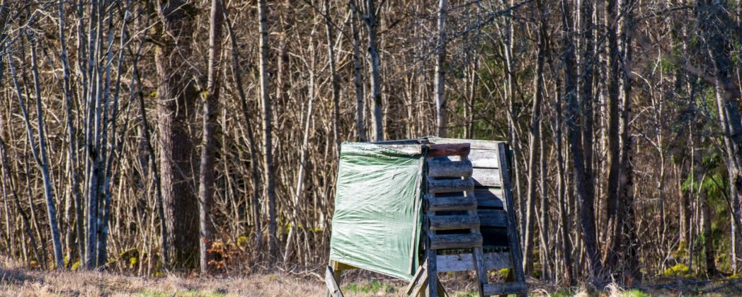 Hochsitz beschädigt: Wildkamera überführt Täter sofort