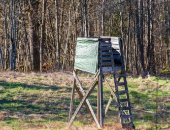 Hochsitz beschädigt: Wildkamera überführt Täter sofort