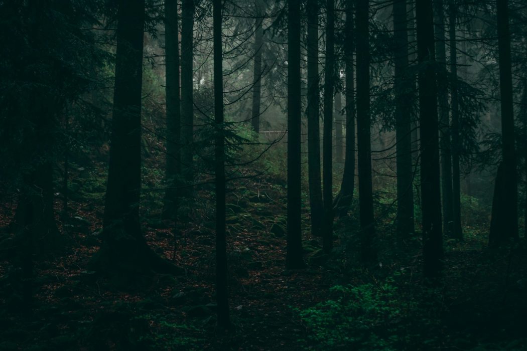 macavei-alex-RdnEBY0Aoho-unsplash