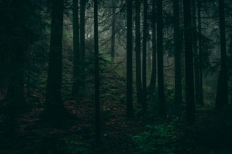 Munition im Wald gefunden: 1,5 Tonnen Granaten bei Pankow