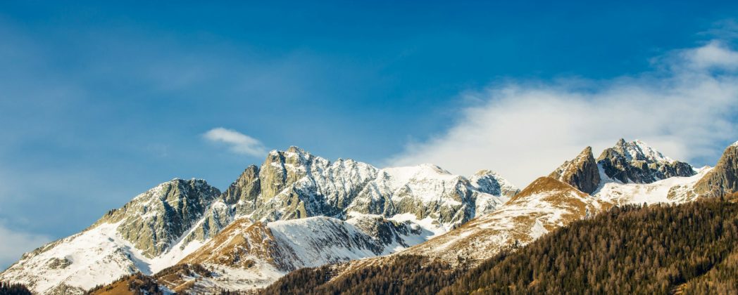 Tragischer Unfall in Österreich: Jäger stürzt in den Tod