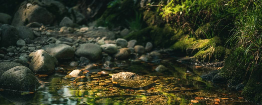 Munition hinter Freibad gefunden: Polizei ermittelt