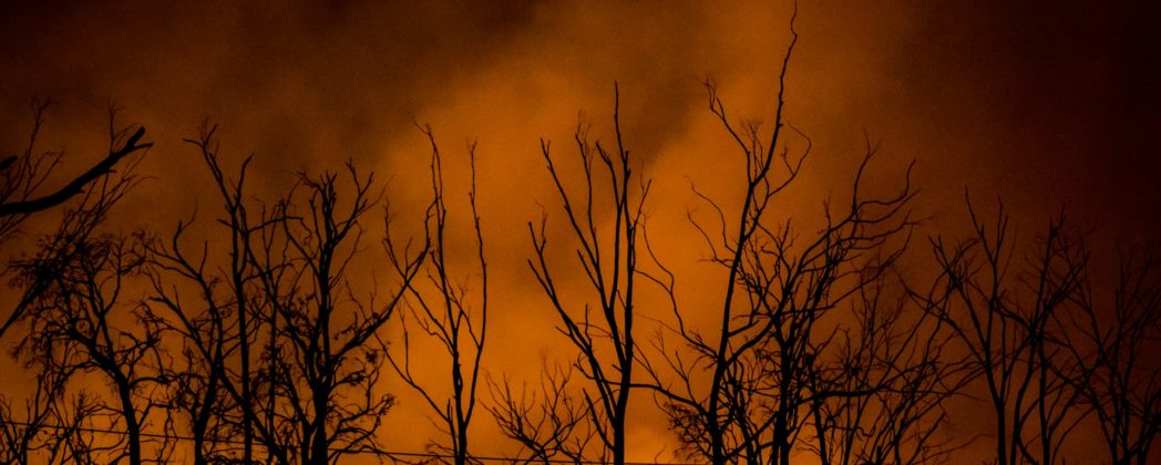 Waldbrand in Ostdeutschland: Munition erschwert Löscharbeiten