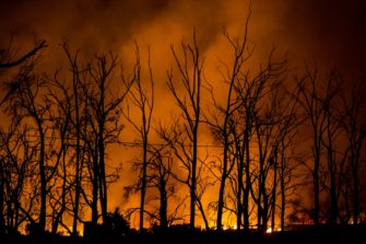 Waldbrand in Ostdeutschland: Munition erschwert Löscharbeiten