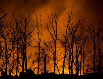 Waldbrand in Ostdeutschland: Munition erschwert Löscharbeiten
