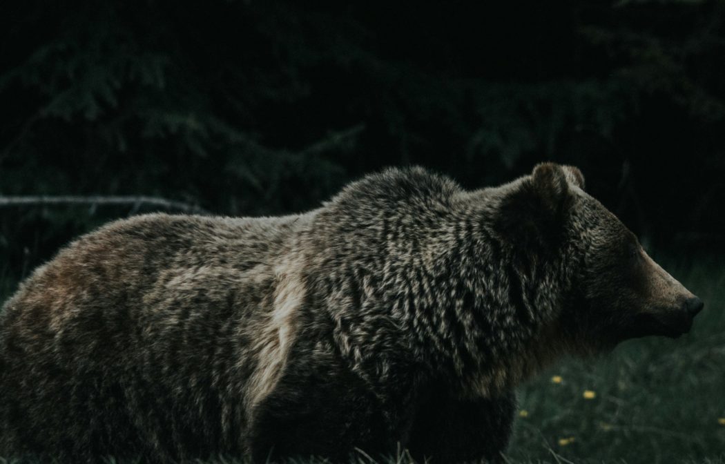 jeremy-vessey-zk7GoKZbBL8-unsplash