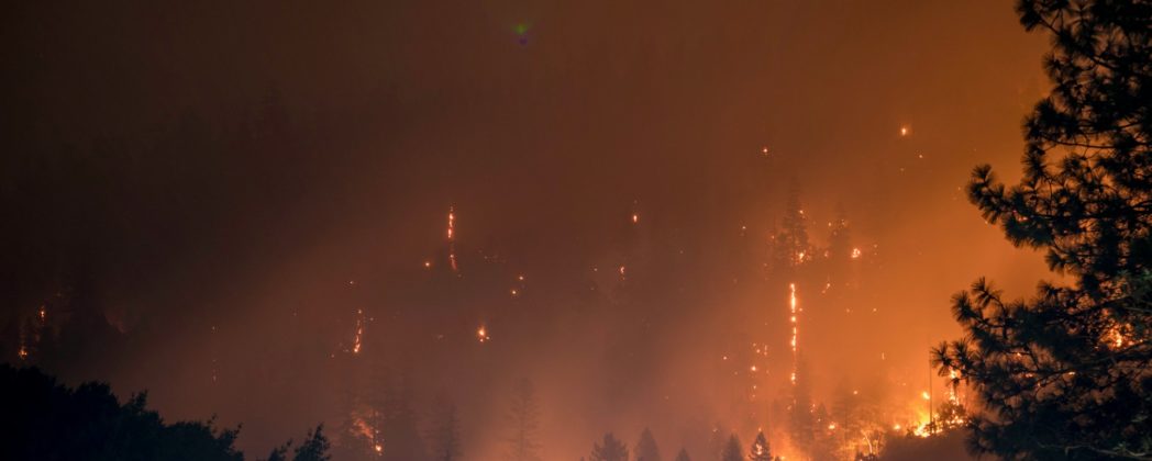 Waldbrand in Spanien: Weitere Tote in Andalusien bestätigt