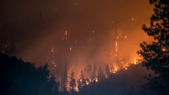 Waldbrand in Spanien: Weitere Tote in Andalusien bestätigt