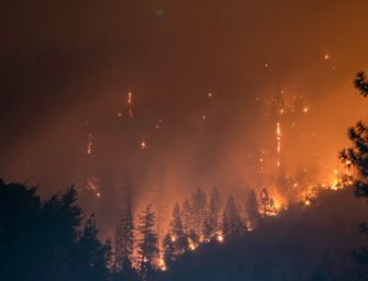 Waldbrand in Spanien: Weitere Tote in Andalusien bestätigt