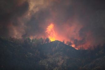 Waldbrand in Italien: Hunderte Urlauber per Schiff evakuiert