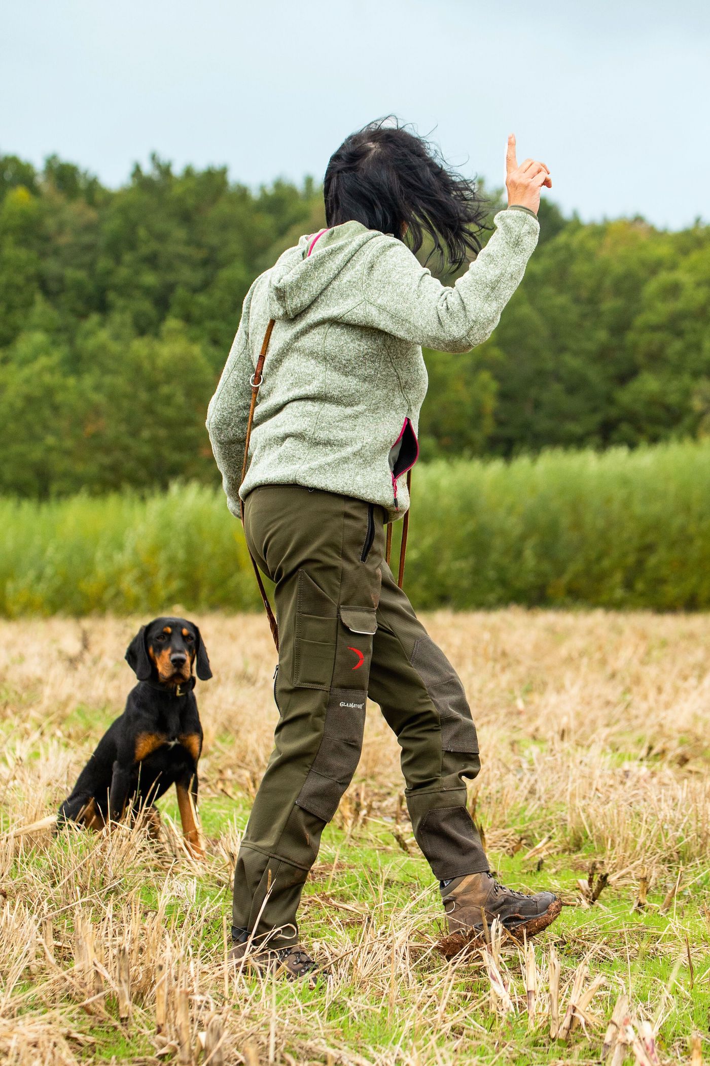 Hund bekommt Kommando