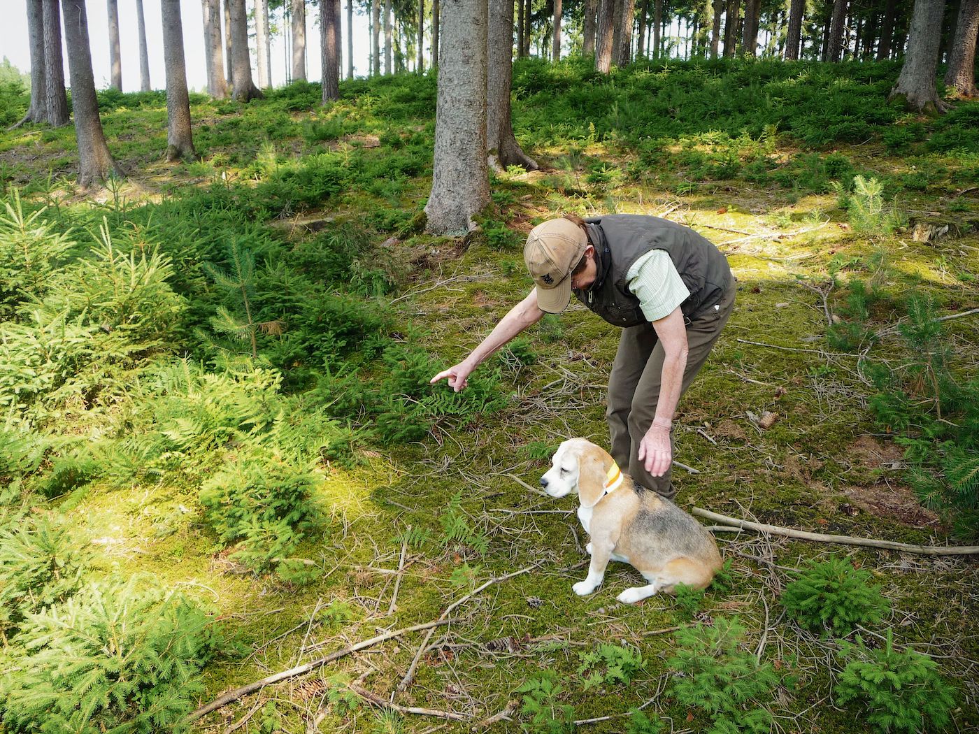 Fingerzeichen für Hund
