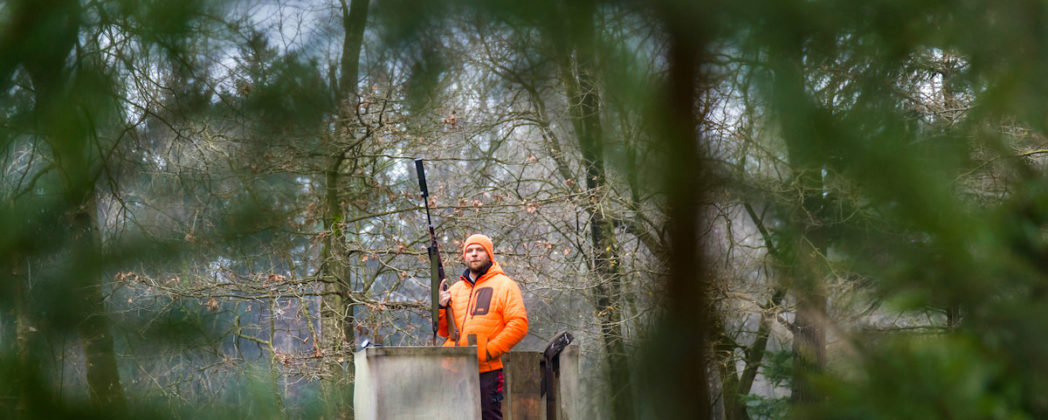 Drückjagd planen: Erfolg bei Bewegungsjagden ist kein Glück!