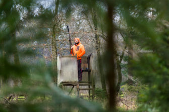 Drückjagd planen: Erfolg bei Bewegungsjagden ist kein Glück!