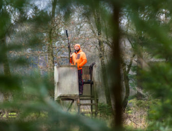 Drückjagd planen: Erfolg bei Bewegungsjagden ist kein Glück!