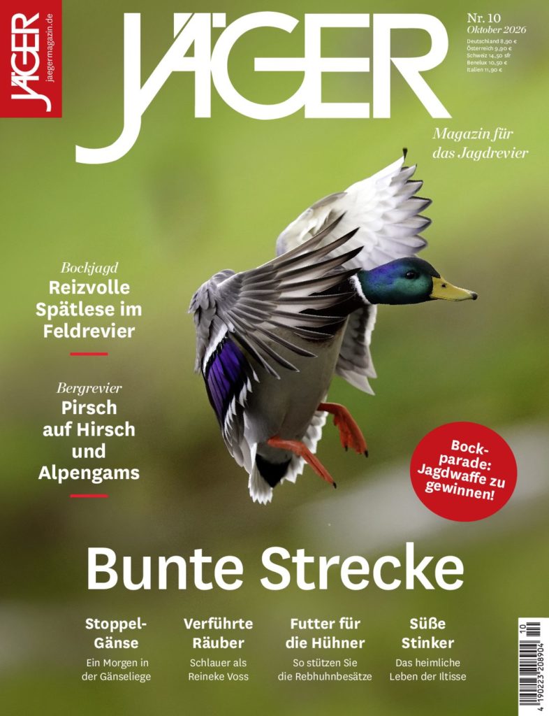 Cover-Wasserwildjagd-CS