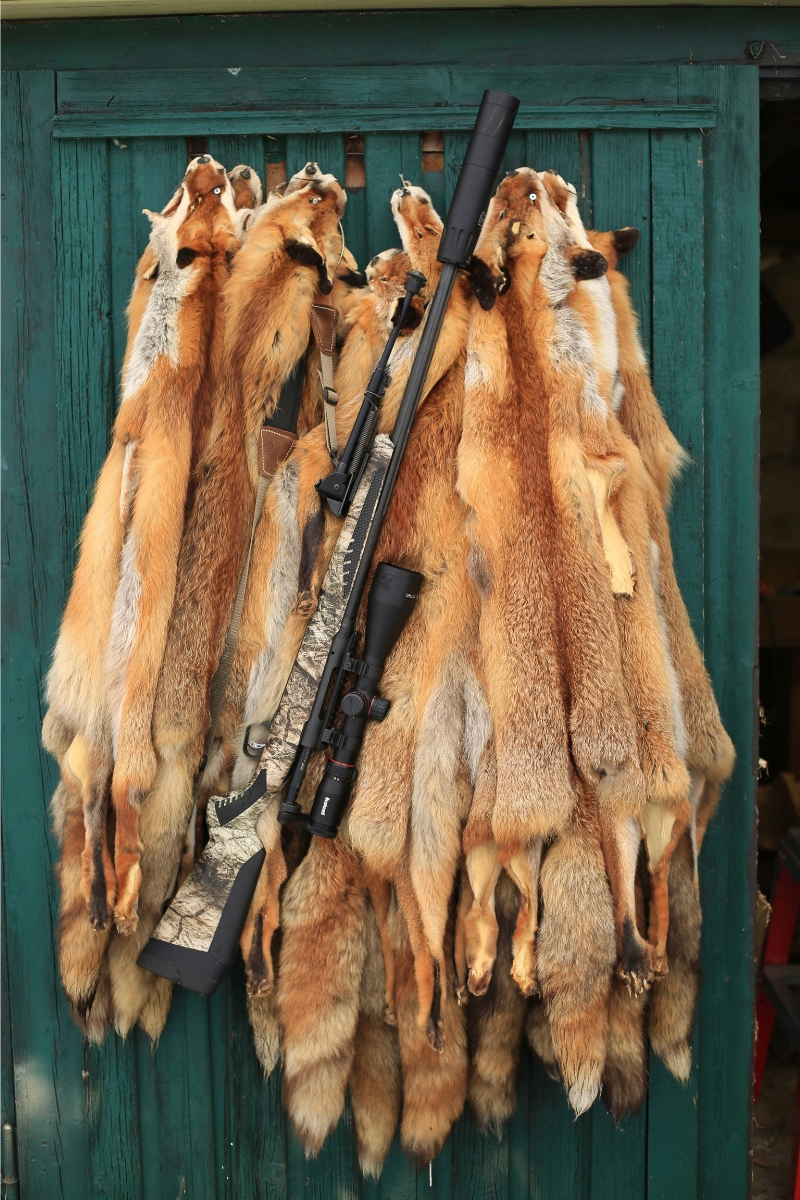 fuchsjagd-baelge-waffe