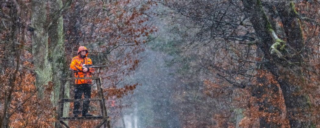 Drückjagd im Schnee: Weißes Waidmannsheil im Solling