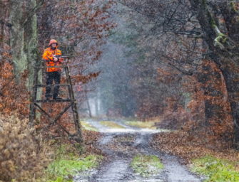 Drückjagd im Schnee: Weißes Waidmannsheil im Solling