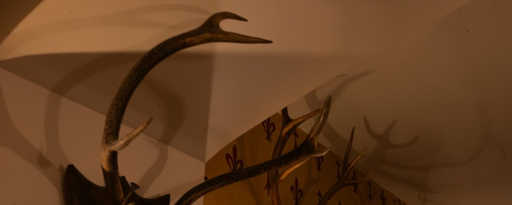 Jagdhorn: Welches Horn wofür? Und wie wird es gespielt?
