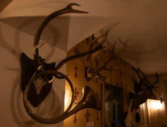 Jagdhorn: Welches Horn wofür? Und wie wird es gespielt?