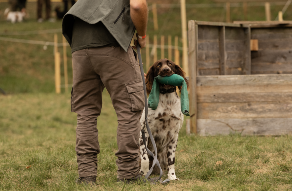 Apportieren gehört zu den klassischen Aufgaben vieler Jagdhunde. Im Hundedorf zeigen Hunde und ihre Führer bei praktischen Vorführungen, was bei der gemeinsamen Arbeit gefragt ist.