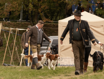 Hundedorf Grünau: Hier dreht sich alles um den Jagdhund